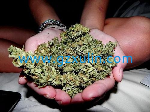 廣州旭林精細化工有限公司