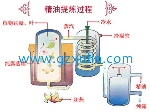 廣州旭林精細化工有限公司