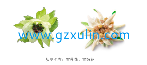 廣州旭林精細化工有限公司