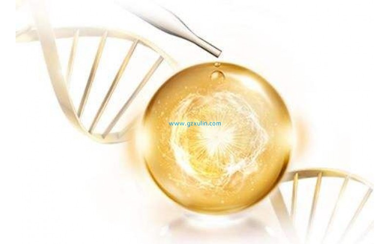 黃金美白的煙酰胺維生素B3化妝品原料功效用途